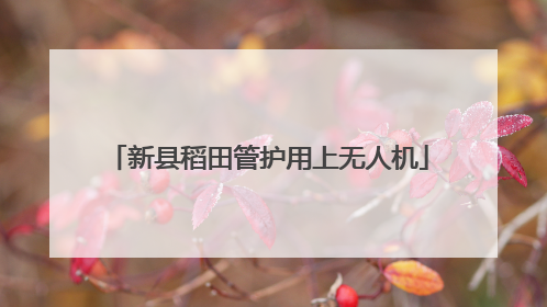 新县稻田管护用上无人机