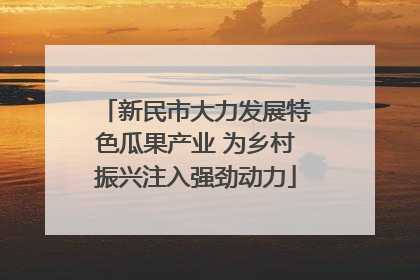 新民市大力发展特色瓜果产业 为乡村振兴注入强劲动力