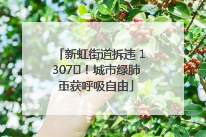 新虹街道拆违 1307㎡！城市绿肺重获呼吸自由