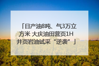 日产油8吨、气3万立方米 大庆油田营页1H井页岩油试采“逆袭”