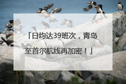 日均达39班次，青岛至首尔航线再加密！