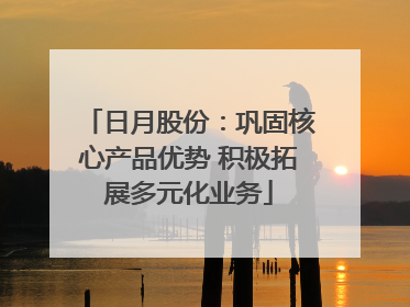 日月股份：巩固核心产品优势 积极拓展多元化业务