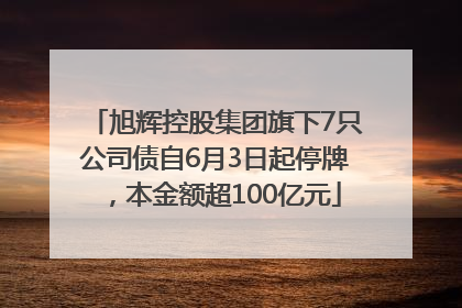 旭辉控股集团旗下7只公司债自6月3日起停牌，本金额超100亿元