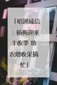 昭通威信：杨梅迎来丰收季 助农增收采摘忙