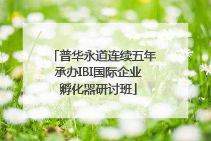 普华永道连续五年承办IBI国际企业孵化器研讨班