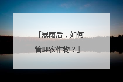 暴雨后，如何管理农作物？