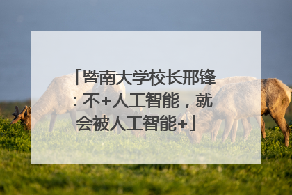 暨南大学校长邢锋：不+人工智能，就会被人工智能+