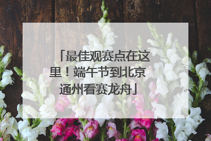 最佳观赛点在这里！端午节到北京通州看赛龙舟