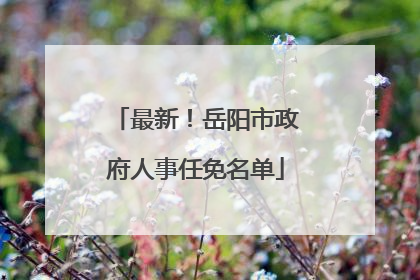 最新！岳阳市政府人事任免名单