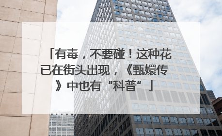 有毒，不要碰！这种花已在街头出现，《甄嬛传》中也有“科普”