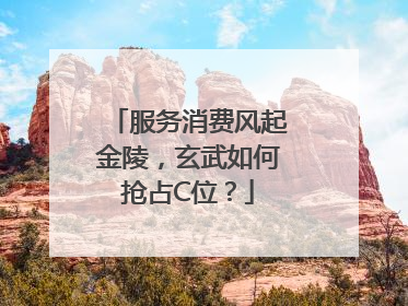 服务消费风起金陵，玄武如何抢占C位？