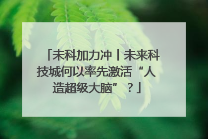 未科加力冲丨未来科技城何以率先激活“人造超级大脑”？