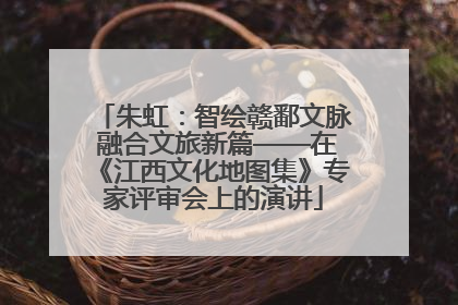 朱虹：智绘赣鄱文脉 融合文旅新篇——在《江西文化地图集》专家评审会上的演讲
