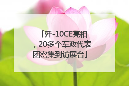 歼-10CE亮相，20多个军政代表团密集到访展台
