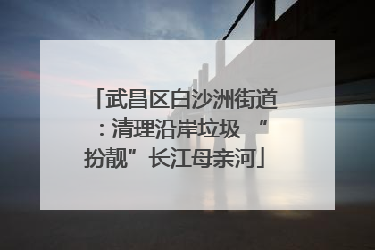 武昌区白沙洲街道：清理沿岸垃圾 “扮靓”长江母亲河