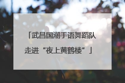 武昌国潮手语舞蹈队走进“夜上黄鹤楼”