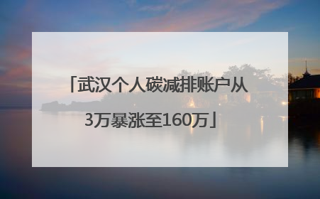 武汉个人碳减排账户从3万暴涨至160万