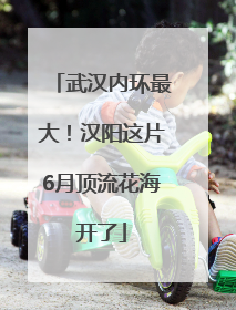 武汉内环最大！汉阳这片6月顶流花海开了