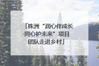 株洲“润心伴成长·同心护未来”项目团队走进乡村