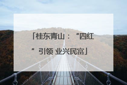桂东青山：“四红”引领 业兴民富