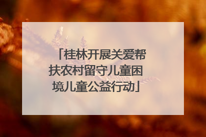 桂林开展关爱帮扶农村留守儿童困境儿童公益行动