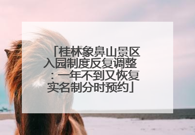 桂林象鼻山景区入园制度反复调整：一年不到又恢复实名制分时预约