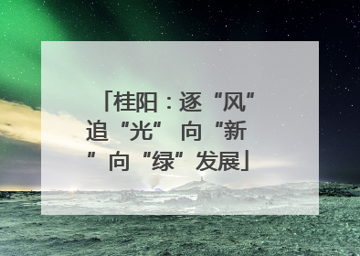 桂阳：逐“风”追“光” 向“新”向“绿”发展