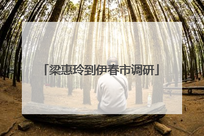 梁惠玲到伊春市调研