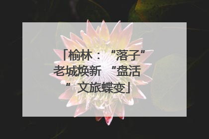 榆林：“落子”老城焕新 “盘活”文旅蝶变