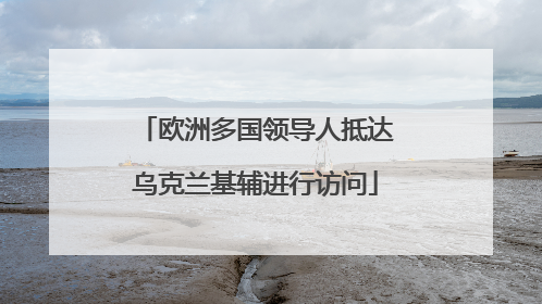 欧洲多国领导人抵达乌克兰基辅进行访问