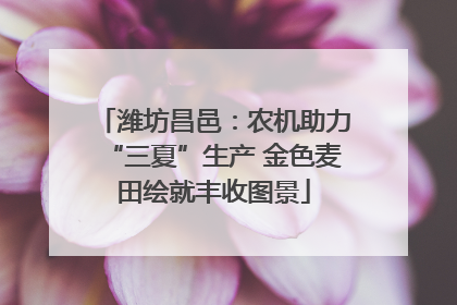 潍坊昌邑：农机助力“三夏”生产 金色麦田绘就丰收图景