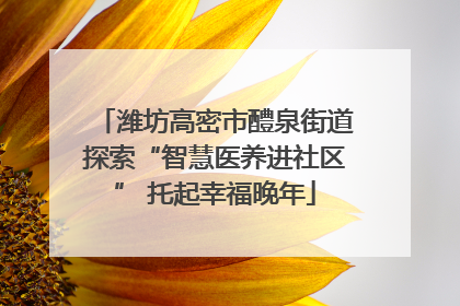 潍坊高密市醴泉街道探索“智慧医养进社区” 托起幸福晚年