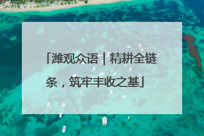 潍观众语｜精耕全链条，筑牢丰收之基