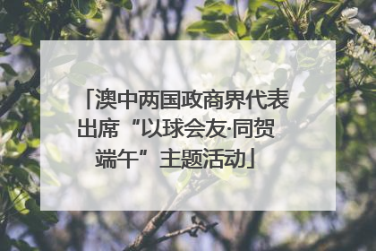 澳中两国政商界代表出席“以球会友·同贺端午”主题活动