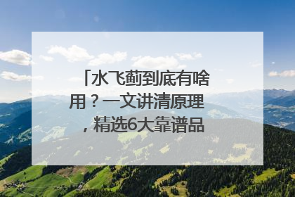水飞蓟到底有啥用？一文讲清原理，精选6大靠谱品牌助你科学养生