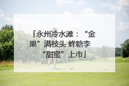 永州冷水滩：“金果”满枝头 蜂糖李“甜蜜”上市