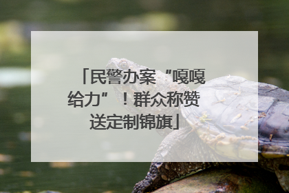 民警办案“嘎嘎给力”！群众称赞送定制锦旗