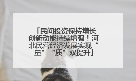民间投资保持增长 创新动能持续增强！河北民营经济发展实现“量”“质”双提升