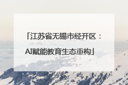 江苏省无锡市经开区：AI赋能教育生态重构