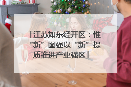江苏如东经开区：惟“新”图强以“新”提质推进产业强区