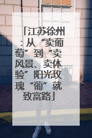 江苏徐州：从“卖葡萄”到“卖风景、卖体验”阳光玫瑰“葡”就致富路