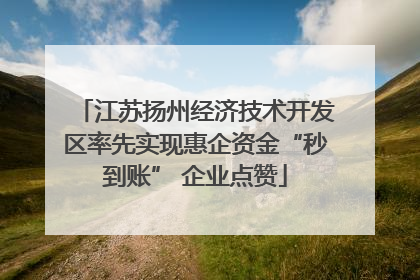 江苏扬州经济技术开发区率先实现惠企资金“秒到账” 企业点赞