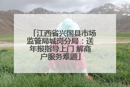 江西省兴国县市场监管局城岗分局：送年报指导上门 解商户服务难题