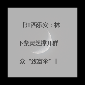 江西乐安：林下紫灵芝撑开群众“致富伞”