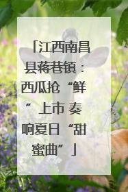 江西南昌县蒋巷镇：西瓜抢“鲜”上市 奏响夏日“甜蜜曲”