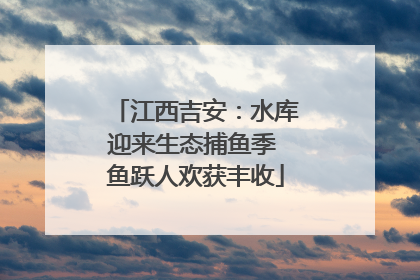 江西吉安：水库迎来生态捕鱼季 鱼跃人欢获丰收