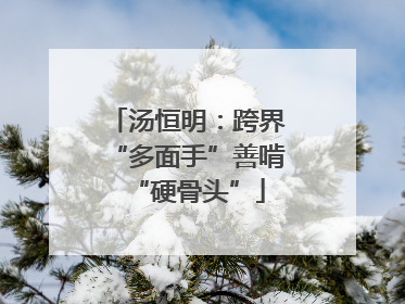 汤恒明：跨界“多面手”善啃“硬骨头”
