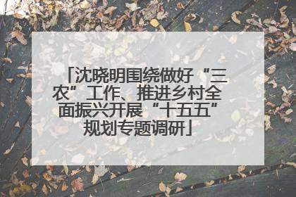 沈晓明围绕做好“三农”工作、推进乡村全面振兴开展“十五五”规划专题调研
