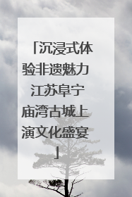 沉浸式体验非遗魅力 江苏阜宁庙湾古城上演文化盛宴