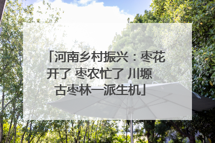 河南乡村振兴：枣花开了 枣农忙了 川塬古枣林一派生机